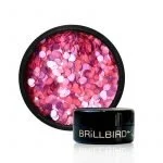 dots_brillbird_4.jpg
