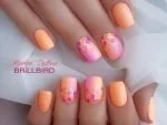 go54-56_ombre_dots