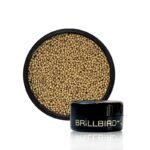 micro beads champagne