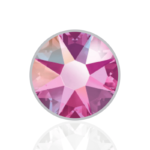Rose_AB_209