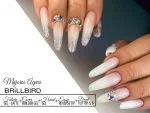 Future gel Acrygel Latte Cover Dual Sequins