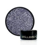 Stardust Diamond Glitter 1