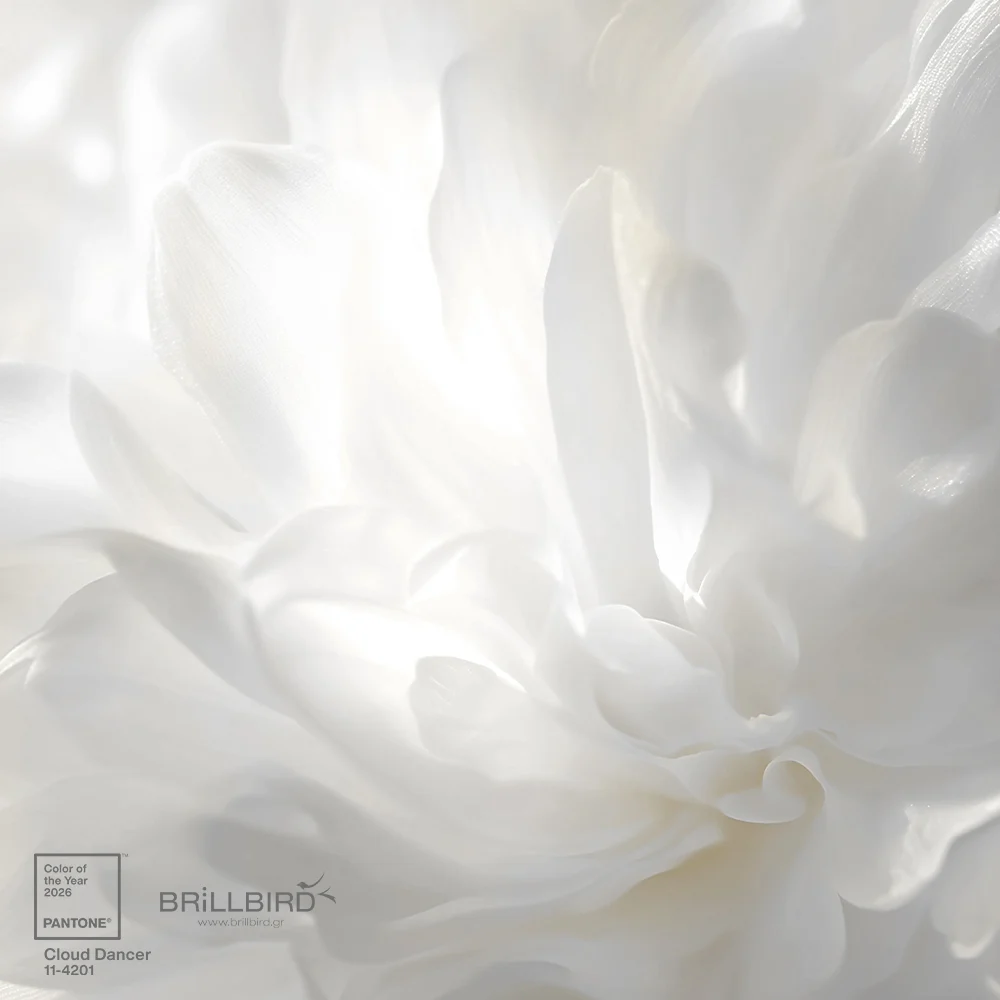 Color of the Year 2026 - Χρώμα της Χρονιάς 2026 – Cloud Dancer